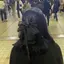 ゆのプロフィール画像