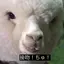 ☻のプロフィール画像