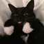 ユイのプロフィール画像