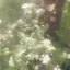 栗本のプロフィール画像