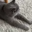 ふたのプロフィール画像