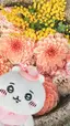 2ᗰ_Chiiiのプロフィール画像