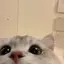 んのプロフィール画像