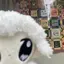 ゆっきーのプロフィール画像
