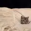 ちよのプロフィール画像