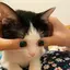 結城のプロフィール画像