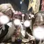 悠太のプロフィール画像