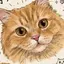 りえのプロフィール画像