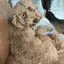 みぃのプロフィール画像