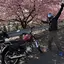 youのプロフィール画像