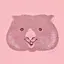 akのプロフィール画像