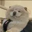 ゆうりのプロフィール画像