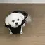 ㅅㅣのプロフィール画像