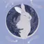 moonのプロフィール画像