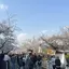 まるのプロフィール画像