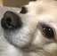 まりたろうのプロフィール画像