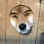 ごりおのプロフィール画像