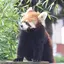 たのプロフィール画像