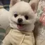 mのプロフィール画像