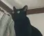 なーのプロフィール画像