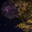 Sのプロフィール画像