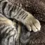 彩のプロフィール画像