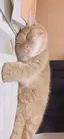 ミンのプロフィール画像