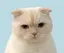 ユナのプロフィール画像