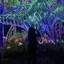莉のプロフィール画像