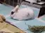 たののプロフィール画像