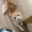 ゆみのプロフィール画像