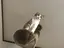 みかんのプロフィール画像