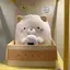 rsakiのプロフィール画像