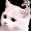 いちごのプロフィール画像