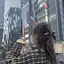 トミーのプロフィール画像