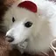 るなのプロフィール画像