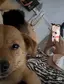 すけのプロフィール画像