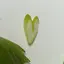 きらきらのプロフィール画像