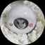 muのプロフィール画像