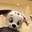 たこんのプロフィール画像