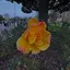優花のプロフィール画像