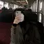 はるのプロフィール画像