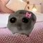 http_kanaのプロフィール画像