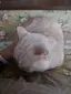ユウキのプロフィール画像