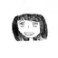 ふのプロフィール画像