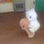 🩵のプロフィール画像