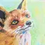 めぶきのプロフィール画像
