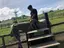 まるのプロフィール画像