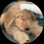 はるのプロフィール画像