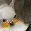 MANAMIのプロフィール画像